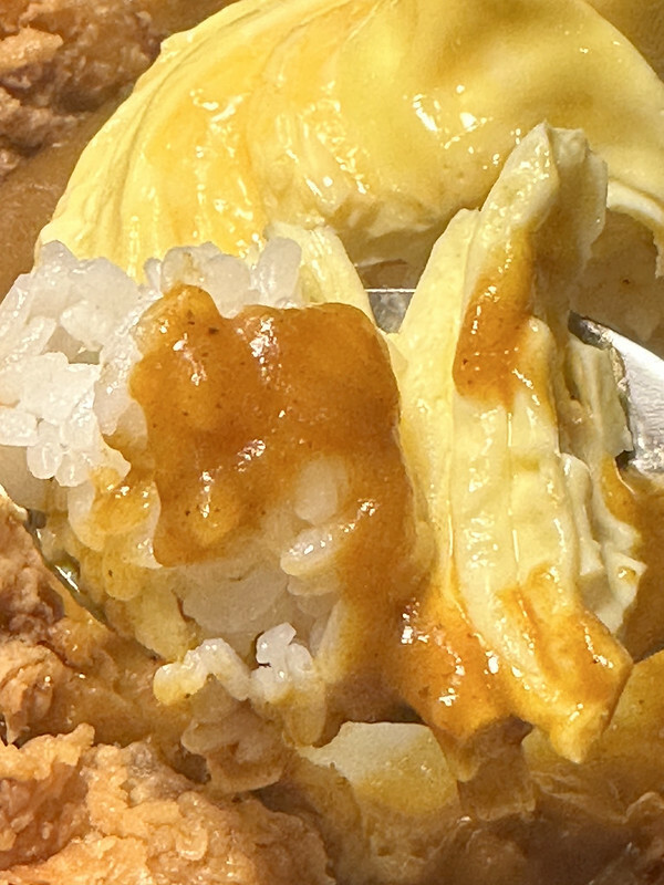 【台灣,台中市,西區】別嗆大叔,一間隱身台中模範市場得美味咖哩飯、唱片行。(台中美食)