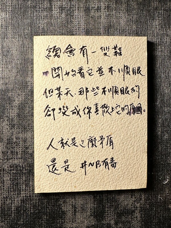 【台灣,台中市,西區】別嗆大叔,一間隱身台中模範市場得美味咖哩飯、唱片行。(台中美食)