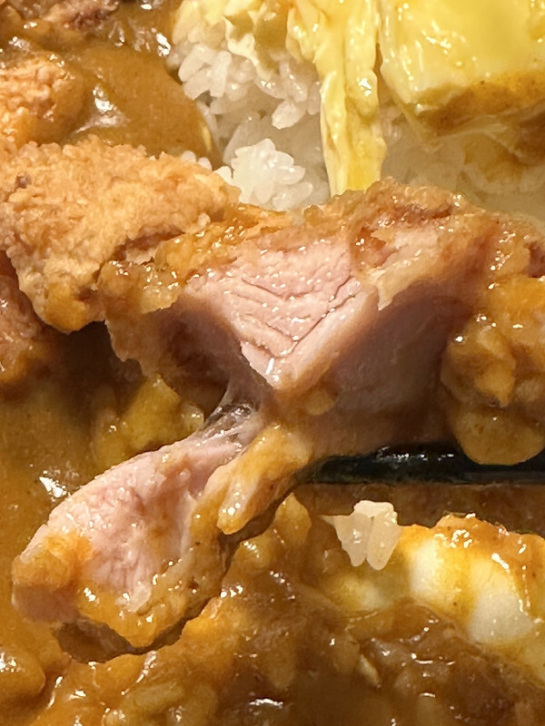 【台灣,台中市,西區】別嗆大叔,一間隱身台中模範市場得美味咖哩飯、唱片行。(台中美食)