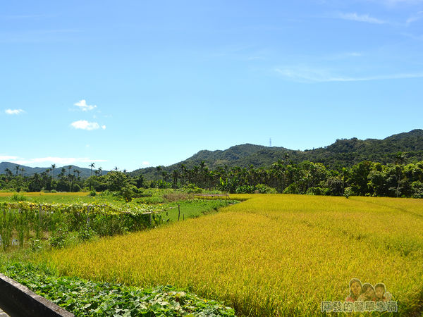 2017雙溪荷所在36-台2丙線田園風光