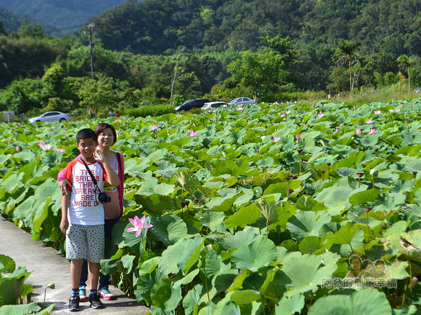2017雙溪荷所在11-母子花田旁田埂上留影
