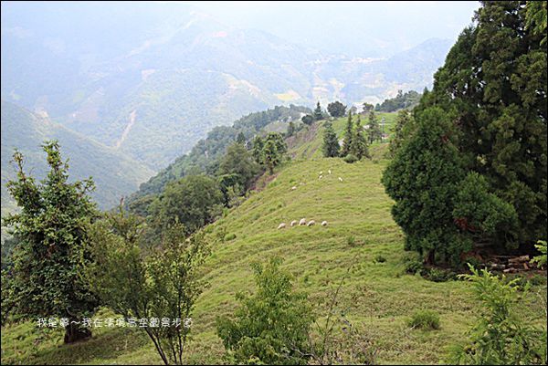 清境高空觀景步道12.jpg