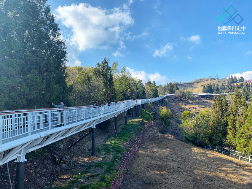 魚腦袋行走中_南投景點_清境景觀步道07.jpg 魚腦袋行走中_南投景點_清境景觀步道07.jpg