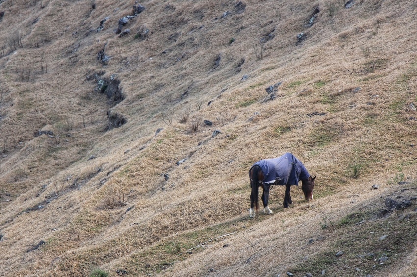 IMG_5067.jpg IMG_5067.jpg