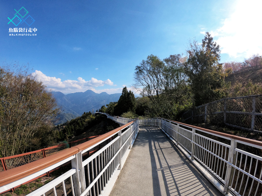 魚腦袋行走中_南投景點_清境景觀步道02.jpg 魚腦袋行走中_南投景點_清境景觀步道02.jpg