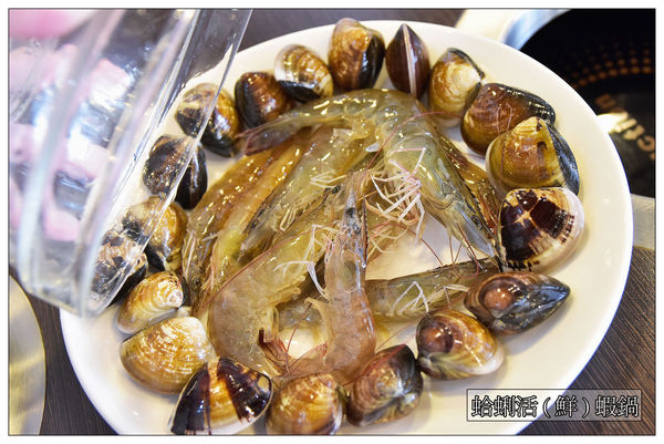 00DSC_0386.jpg 00DSC_0386.jpg