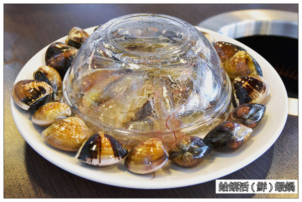 00DSC_0385.jpg 00DSC_0385.jpg