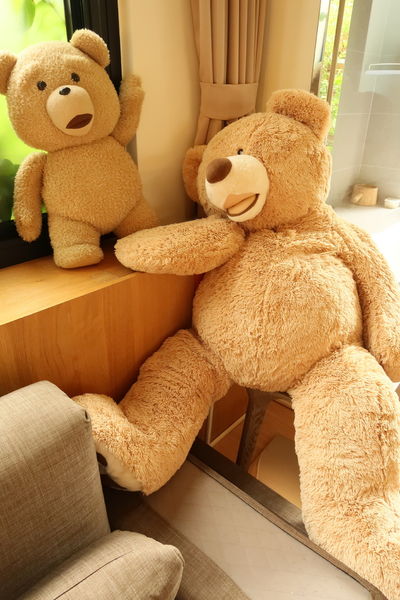 『花蓮好好玩』4天3夜花蓮行：雲山水有熊的森林、絕美仙境獨棟villa、壽豐鄉好山好水