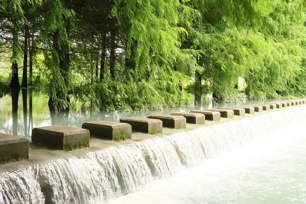 『花蓮好好玩』4天3夜花蓮行：雲山水有熊的森林、絕美仙境獨棟villa、壽豐鄉好山好水