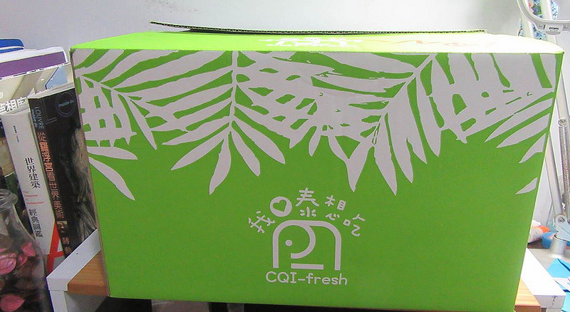 20170703_我泰想吃芒果冰 (2)