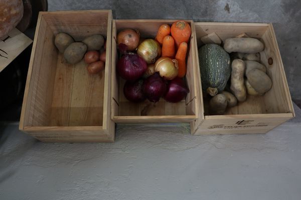 IMG_1357.jpg IMG_1357.jpg