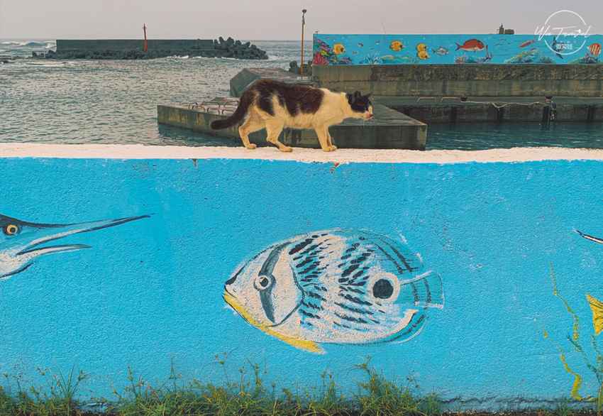 東北角一日遊絕美馬崗潮間帶、馬崗石頭厝，夕陽最佳親子、網美秘密景點【新北貢寮】 - 微笑娃生活旅行
