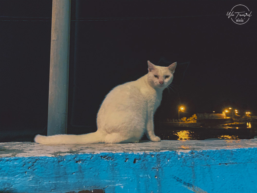 東北角一日遊絕美馬崗潮間帶、馬崗石頭厝，夕陽最佳親子、網美秘密景點【新北貢寮】 - 微笑娃生活旅行