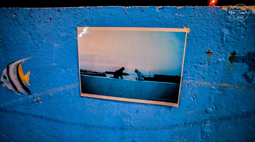 東北角一日遊絕美馬崗潮間帶、馬崗石頭厝，夕陽最佳親子、網美秘密景點【新北貢寮】 - 微笑娃生活旅行