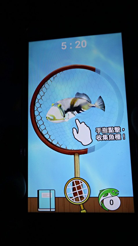 IMG_0129 -1 IMG_0129 -1