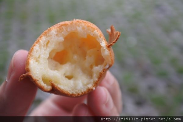 私宅雞蛋糕 (47).jpg