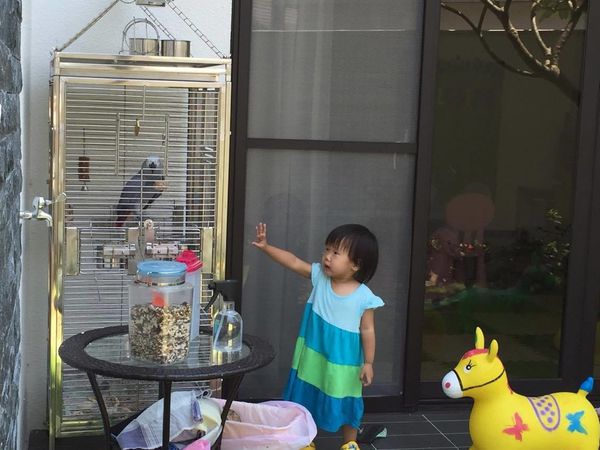 21146642_2086226168070157_2105178609_o