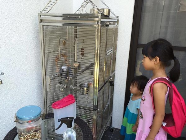 21124804_2086226151403492_601910839_o