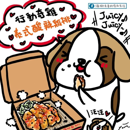 21125191_10212282278845808_1876159717_o