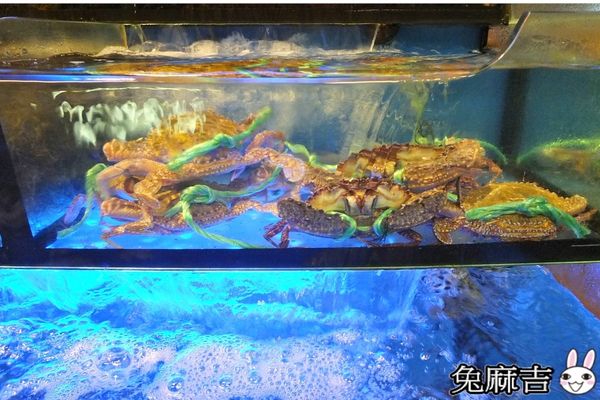 老淡水餐廳 (5).jpg