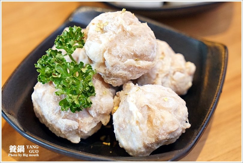 【台中北屯】養鍋Yang Guo石頭涮涮鍋(文心店)‧高CP值、份量十足、寵物友善的獨享鍋物!