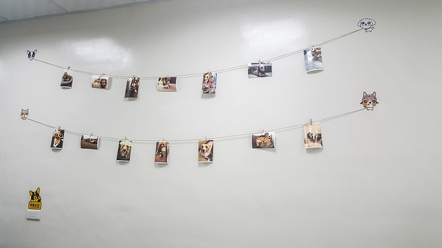 20170730_080229_36209847626_o