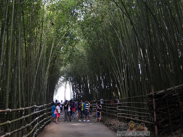 烏嘎彥竹林21-返回時人潮漸現