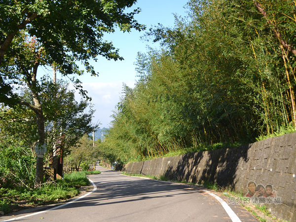 烏嘎彥竹林03-南清聯絡道路風景