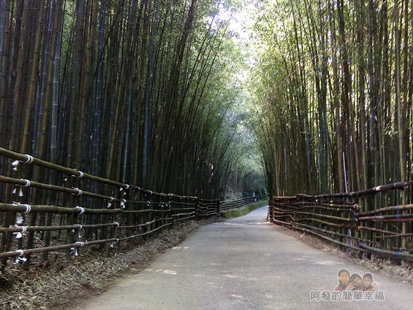 烏嘎彥竹林19-竹林秘境尾段