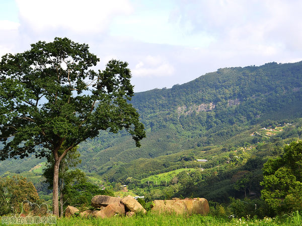 烏嘎彥竹林09-山中風景