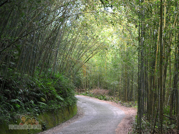 烏嘎彥竹林07-沿路的風景