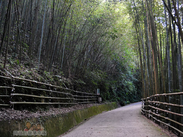 烏嘎彥竹林20-竹林秘境尾