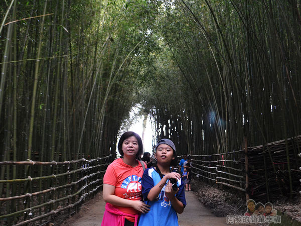 烏嘎彥竹林22-留影