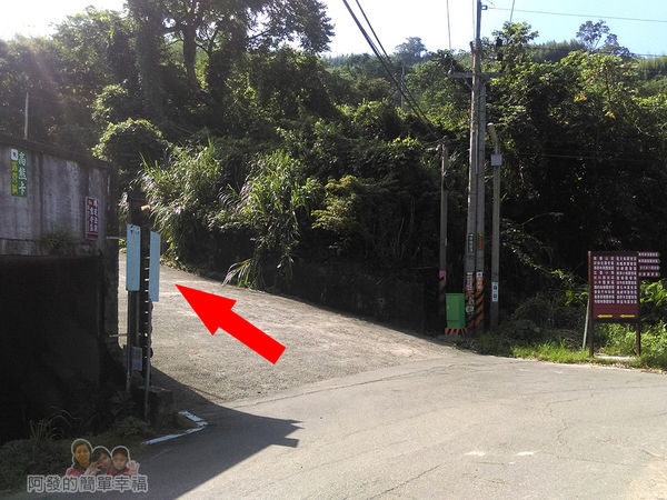 烏嘎彥竹林04-左側有個水泥道斜坡