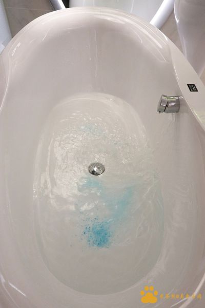 IMG_0391.JPG IMG_0391.JPG