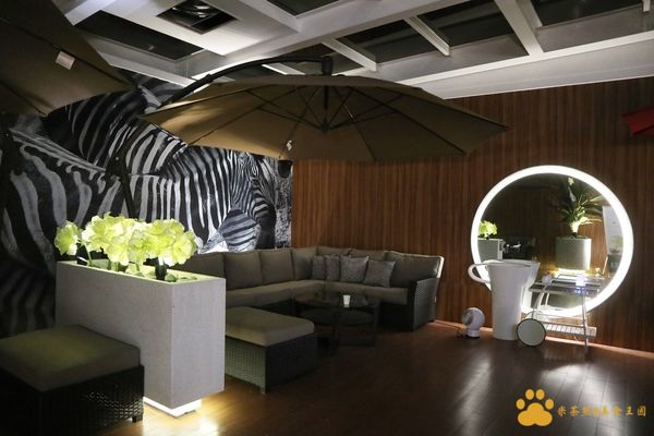 IMG_0387.JPG IMG_0387.JPG