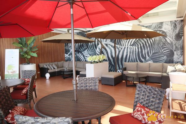 IMG_0408.JPG IMG_0408.JPG