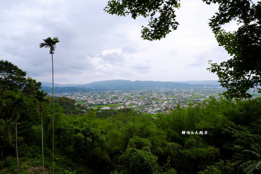 桐遊柿界 ❙ 低消只要100元，坐擁浪漫百萬夜景，苗栗公館景