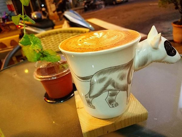 20264796_1583296485035368_5686721922697289539_n