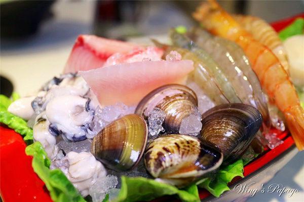 IMG_5919.jpg IMG_5919.jpg