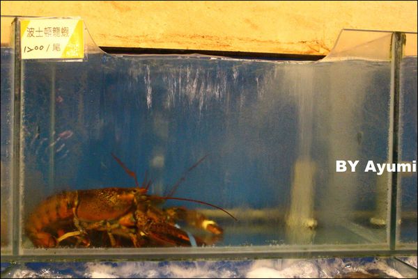 奇真會館 水蛙師私房饗宴：[食記]奇真會館-桃園喜宴/林口喜宴/平價/推薦/小吃料理~帶爸爸來這過個溫馨父親節吧!!!