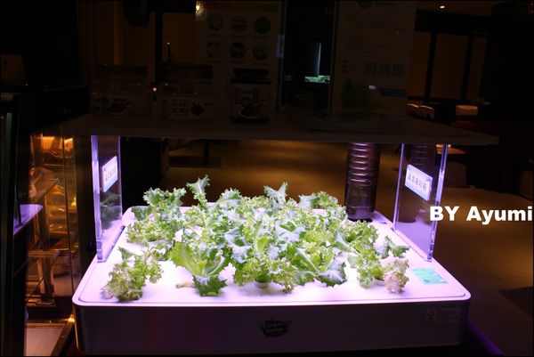 奇真會館 水蛙師私房饗宴：[食記]奇真會館-桃園喜宴/林口喜宴/平價/推薦/小吃料理~帶爸爸來這過個溫馨父親節吧!!!