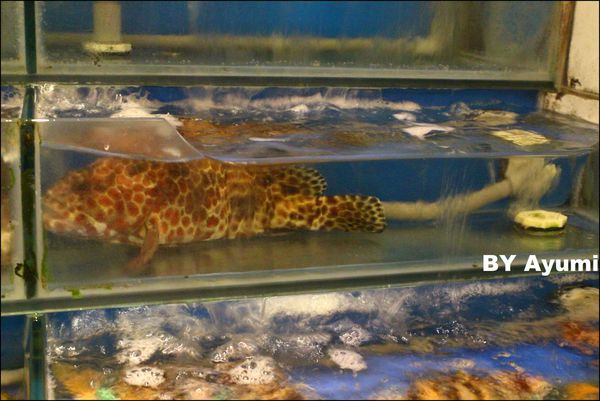 奇真會館 水蛙師私房饗宴：[食記]奇真會館-桃園喜宴/林口喜宴/平價/推薦/小吃料理~帶爸爸來這過個溫馨父親節吧!!!