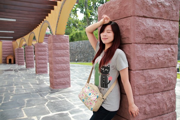 |嘉義新景點 中埔遊客中心 西拉雅國家風景區 猶如來到山中童話城堡 親子旅遊的好所在 新開幕免費入園|:【嘉義中埔景點】西拉雅國家風景區~中埔遊客中心,浪漫台三線山中童話城堡