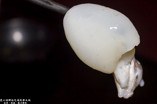 饌麻辣頂級火鍋：高雄前金︱饌麻辣頂級鴛鴦火鍋吃到飽　父親節，吃麻辣鍋、喝啤酒、冰淇淋吃飽飽，父親節就決定這樣過！！