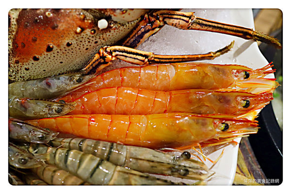 【新莊美食】石都府石頭火鍋達人 ~ 新莊火鍋推薦❤️ 超威的巨無霸龍蝦+金多蝦海陸套餐 - 捷運丹鳳站