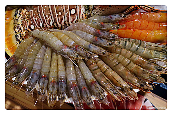 【新莊美食】石都府石頭火鍋達人 ~ 新莊火鍋推薦❤️ 超威的巨無霸龍蝦+金多蝦海陸套餐 - 捷運丹鳳站