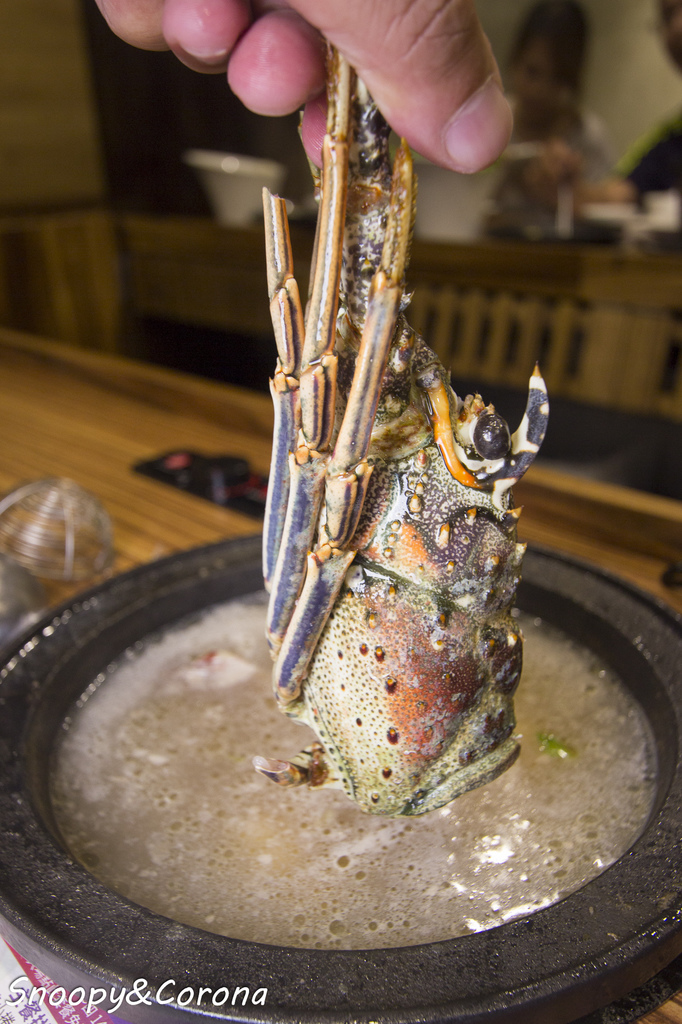 20170806-IMG_6837.jpg 20170806-IMG_6837.jpg