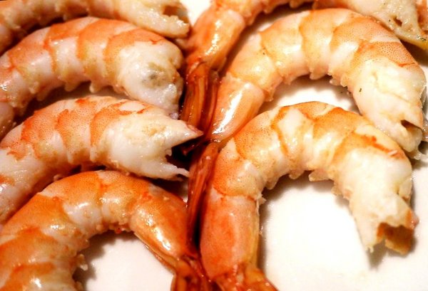 石都府石頭火鍋達人：【新北美食】石都府石頭火鍋達人～新莊火鍋，巨無霸龍蝦＋金多蝦海陸套餐澎湃上桌