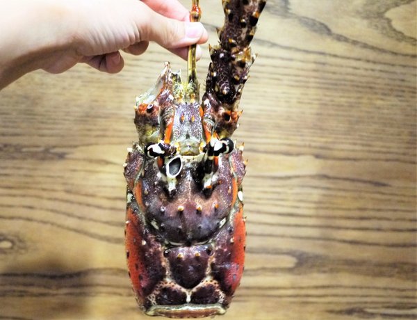 石都府石頭火鍋達人：【新北美食】石都府石頭火鍋達人～新莊火鍋，巨無霸龍蝦＋金多蝦海陸套餐澎湃上桌